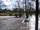 080202-cigne-entrainement-104.jpg