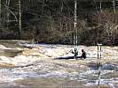 080202-cigne-entrainement-106.jpg
