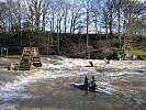 080202-cigne-entrainement-134.jpg