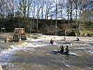 080202-cigne-entrainement-138.jpg