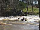 080202-cigne-entrainement-154.jpg