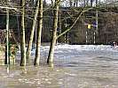 080202-cigne-entrainement-160.jpg